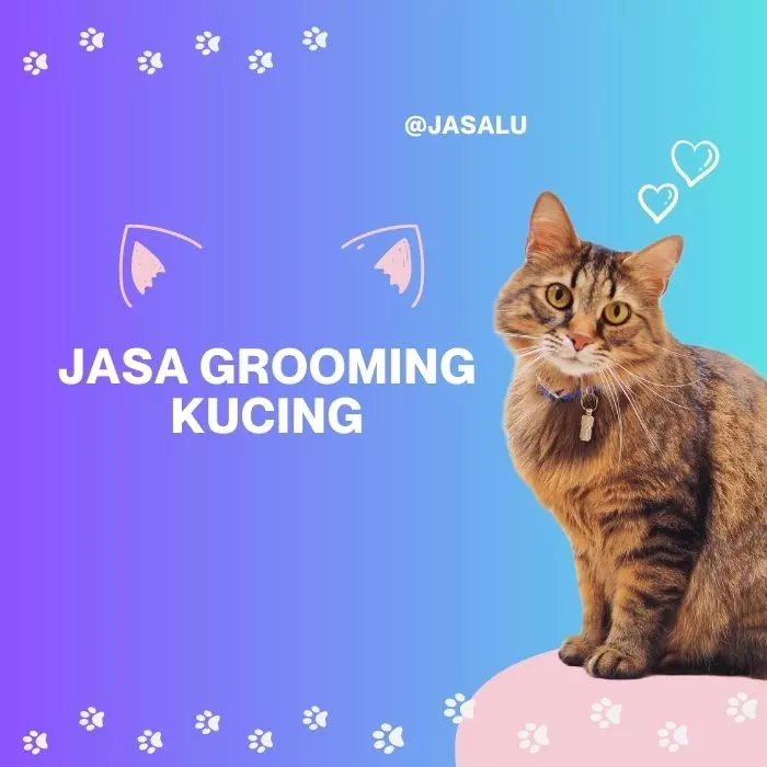 Apa Artinya Jasa Grooming Kucing ?