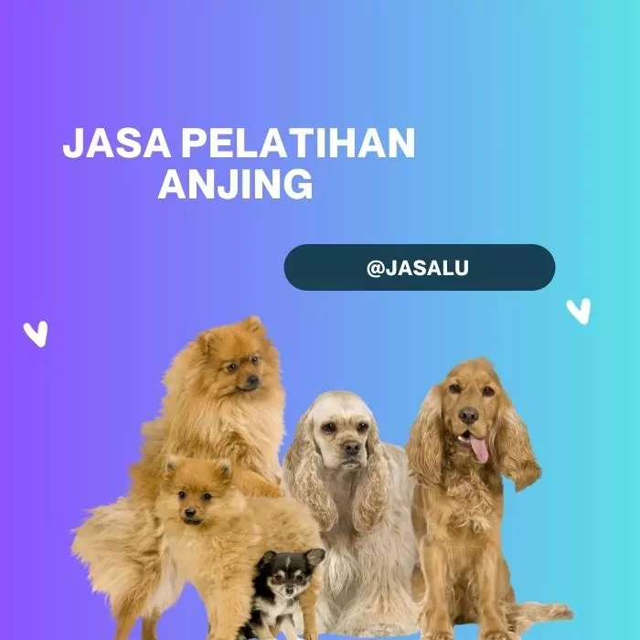 Apa Artinya Jasa Pelatihan Anjing ?