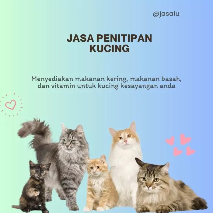 Apa Artinya Jasa Penitipan Kucing ?